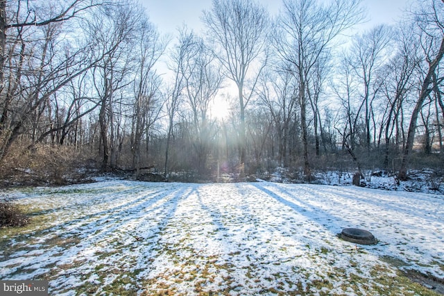 view of snowy yard