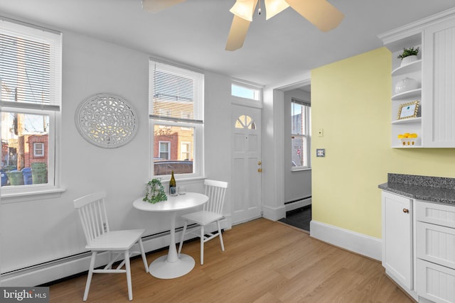 dining area with a baseboard heating unit, light hardwood / wood-style floors, and a healthy amount of sunlight