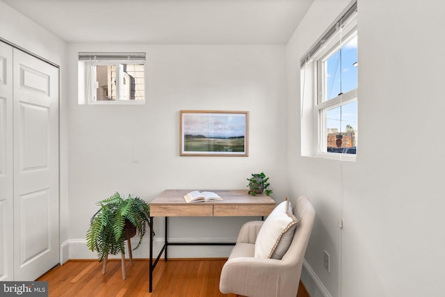 office space featuring a wealth of natural light and light wood-type flooring