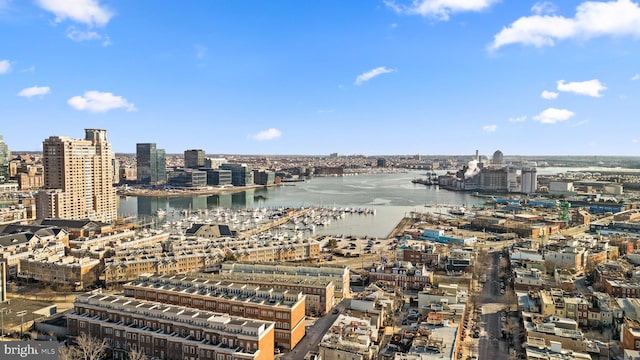 bird's eye view with a water view