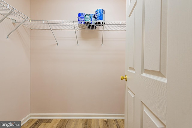 walk in closet with wood-type flooring