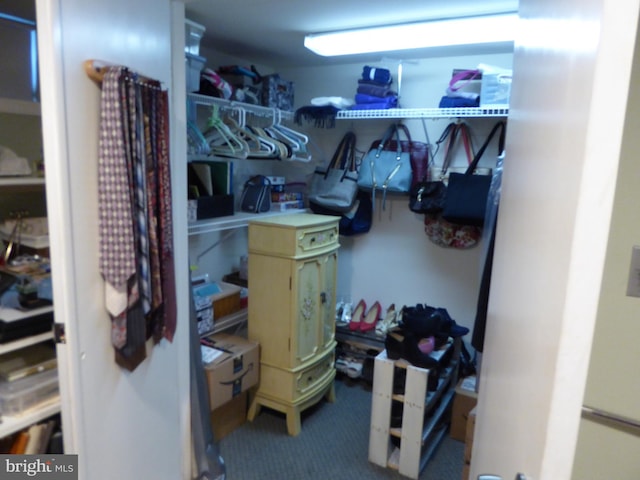 view of walk in closet