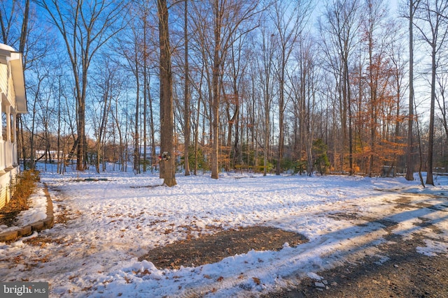 view of yard covered in snow