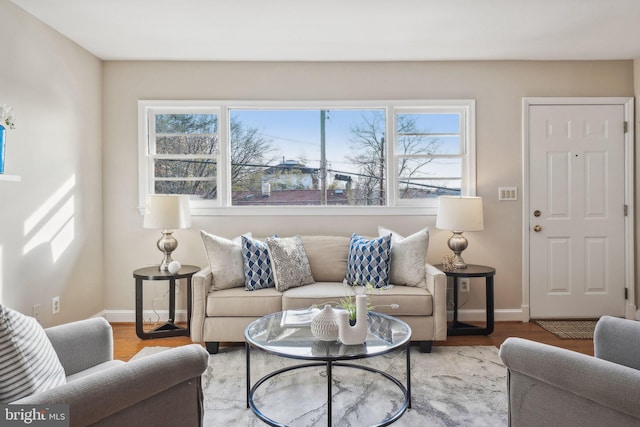 living room with hardwood / wood-style flooring and a wealth of natural light