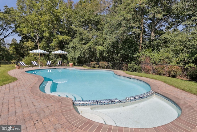 view of pool with a patio