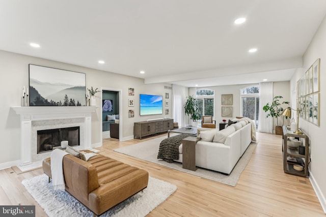 living room featuring a fireplace and light hardwood / wood-style flooring