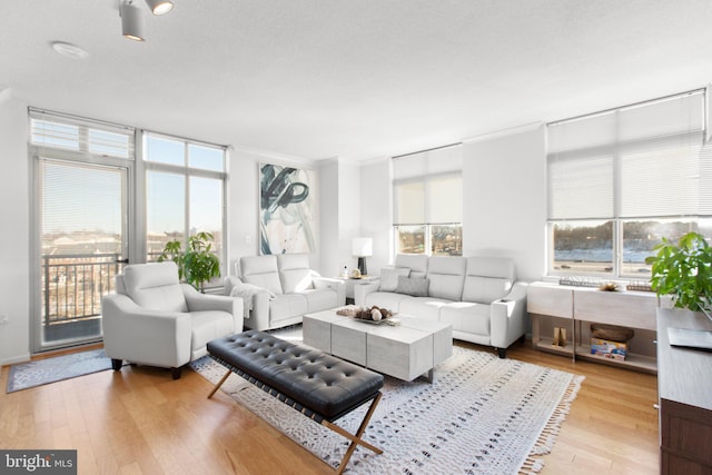 living room featuring a textured ceiling, light hardwood / wood-style floors, and expansive windows