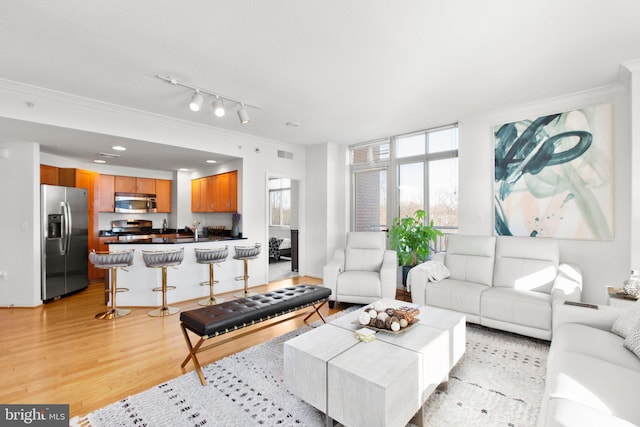 living room with floor to ceiling windows, crown molding, and light hardwood / wood-style flooring