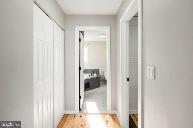 hall featuring light wood-type flooring