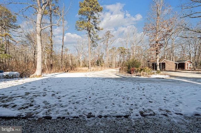 view of yard covered in snow