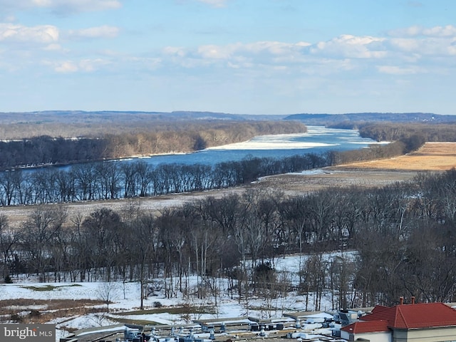 snowy aerial view with a water view