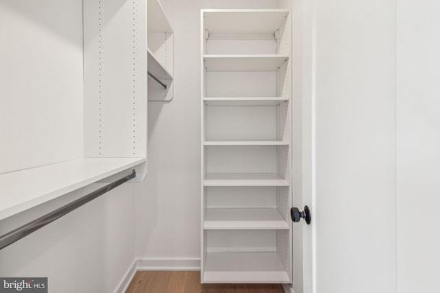 spacious closet with hardwood / wood-style flooring