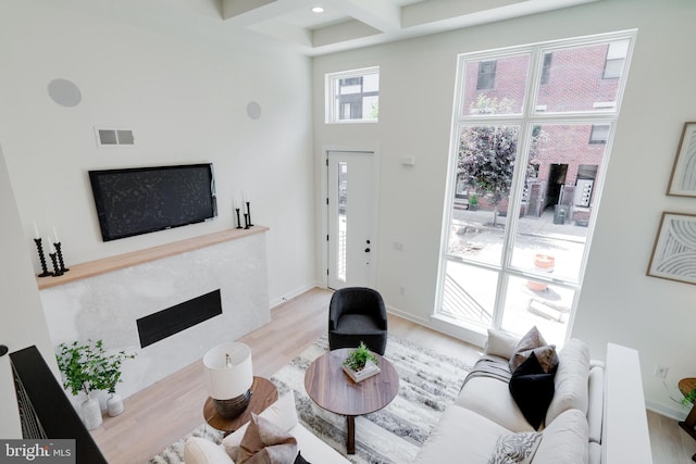 living room with a fireplace, a high ceiling, and light wood-type flooring