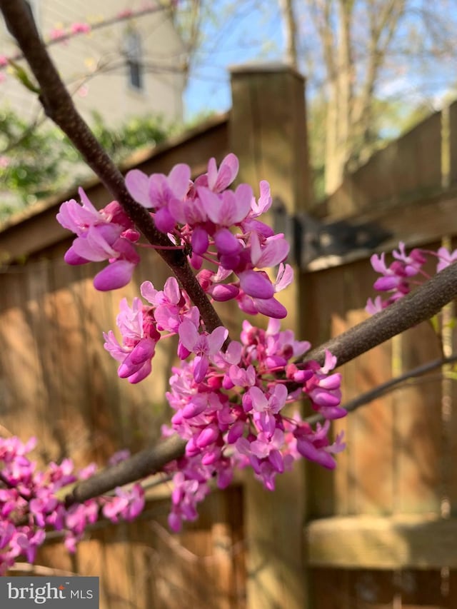 8107 Orville St, Alexandria, VA 22309 - view of details