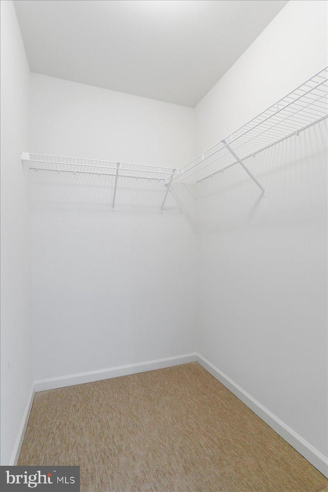 spacious closet with carpet flooring