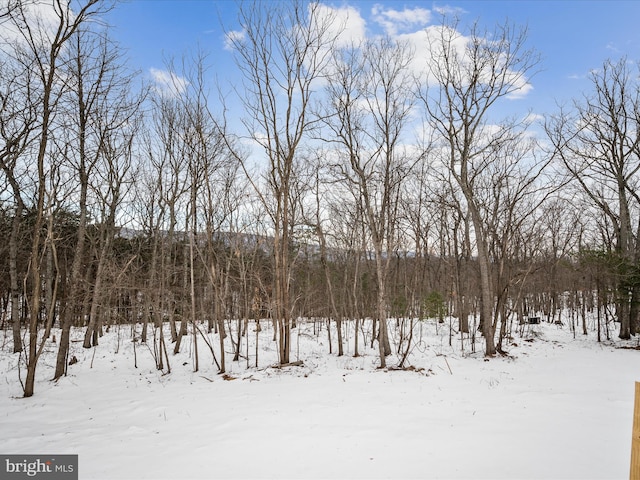 view of snowy landscape