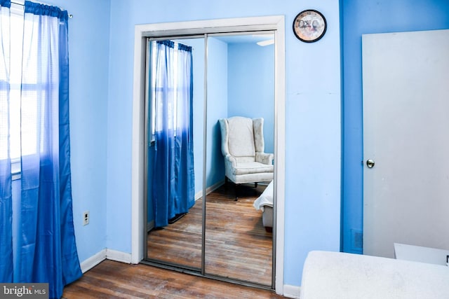 bedroom featuring multiple windows, a closet, and dark wood-type flooring