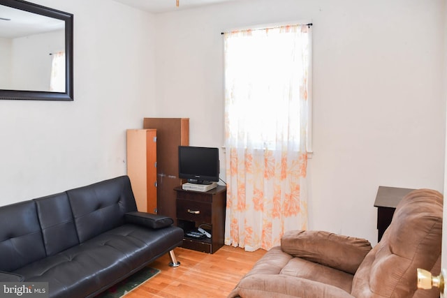 living room with hardwood / wood-style floors