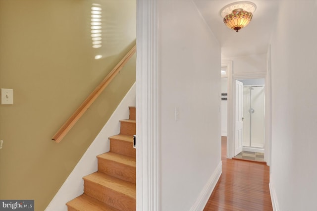 staircase featuring hardwood / wood-style floors