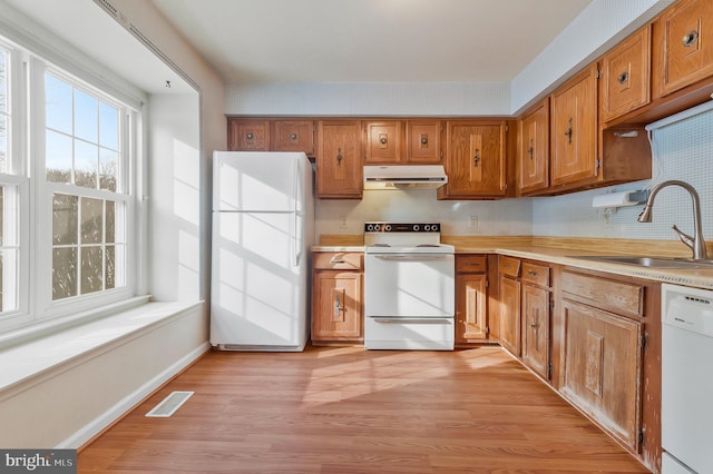 kitchen with sink, light hardwood / wood-style floors, plenty of natural light, and white appliances