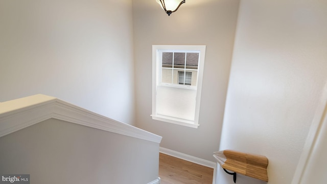 staircase featuring wood-type flooring