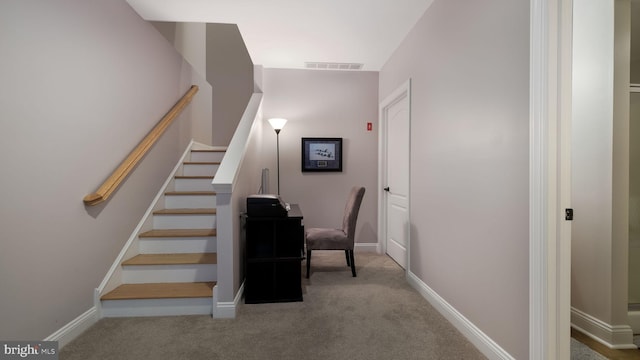 stairs featuring carpet floors