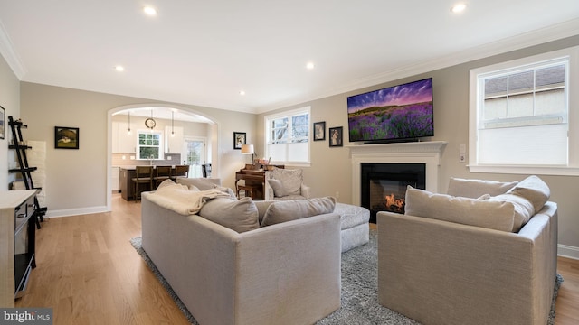 living room with light hardwood / wood-style floors and ornamental molding