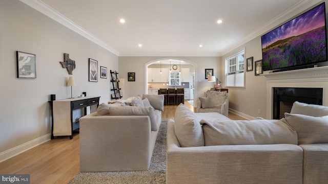 living room featuring light wood-type flooring and ornamental molding