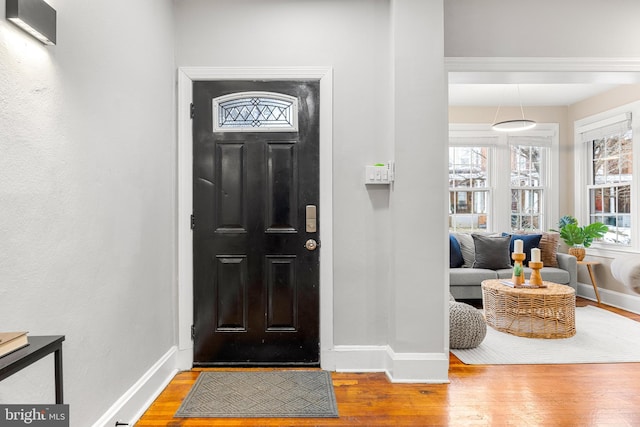 entrance foyer with hardwood / wood-style floors