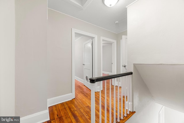 staircase featuring hardwood / wood-style floors