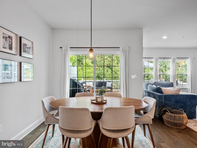 dining space with a healthy amount of sunlight and wood-type flooring