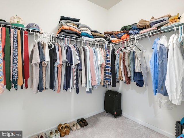 spacious closet featuring carpet flooring