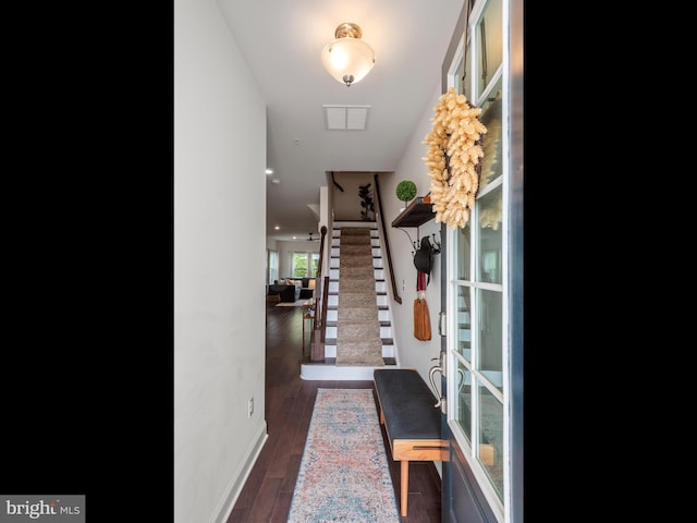 hall featuring dark wood-type flooring