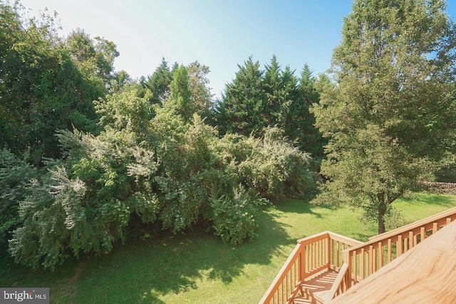 view of yard featuring a wooden deck