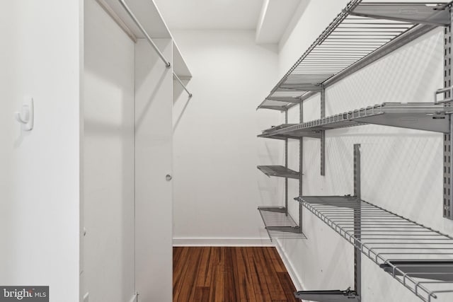 spacious closet with dark hardwood / wood-style floors