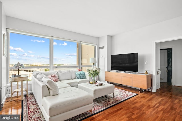 living room featuring hardwood / wood-style flooring