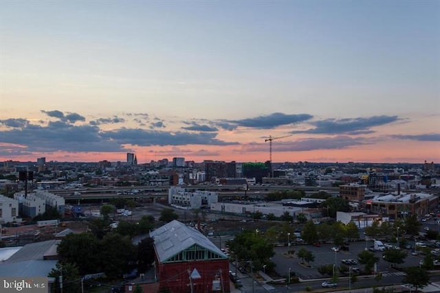 property's view of city