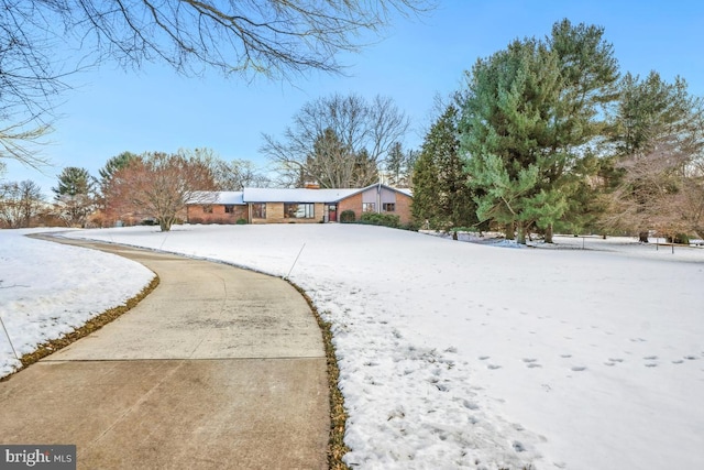 view of ranch-style home