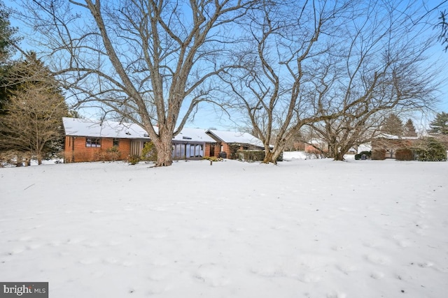 view of yard covered in snow