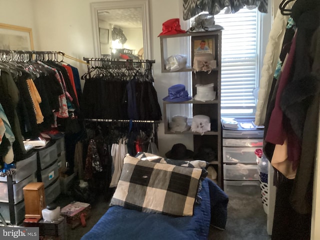 spacious closet featuring dark colored carpet