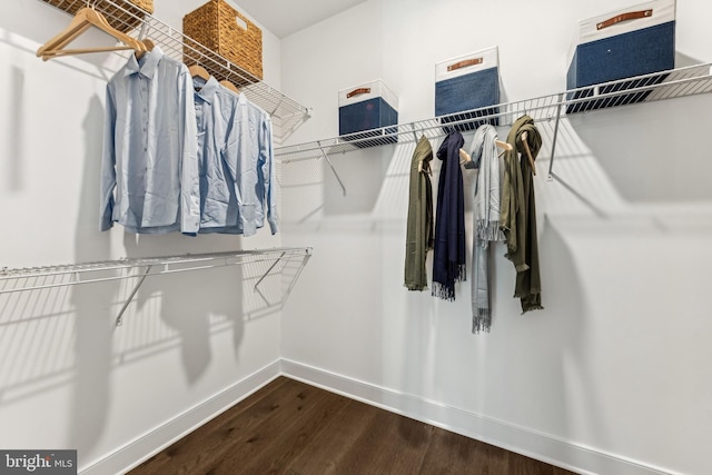 walk in closet with hardwood / wood-style flooring