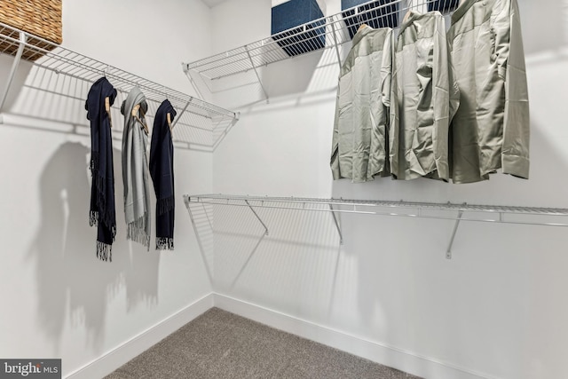 walk in closet featuring carpet flooring