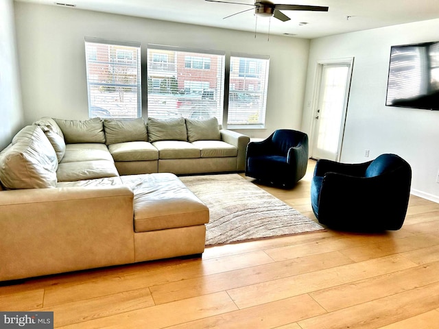 living room featuring ceiling fan, light hardwood / wood-style flooring, and a healthy amount of sunlight