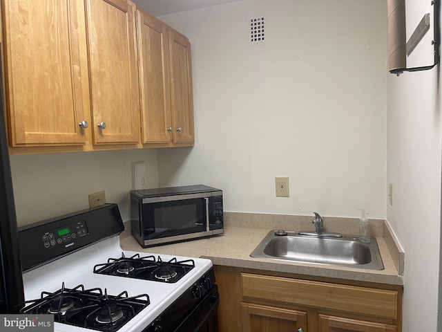 kitchen featuring gas range and sink