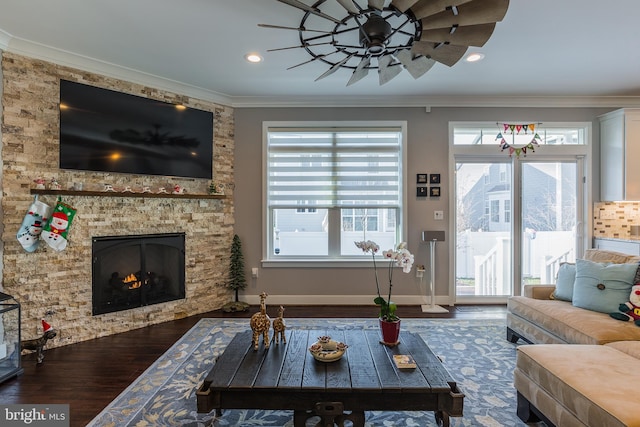 living room featuring ceiling fan, dark hardwood / wood-style floors, crown molding, and a stone fireplace