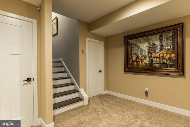 stairs with carpet flooring