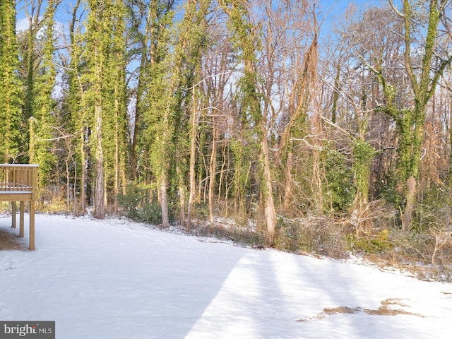 view of yard layered in snow