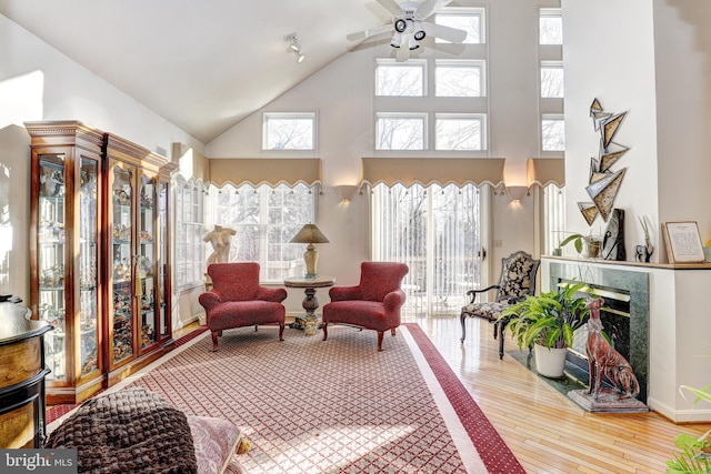 interior space featuring ceiling fan, a high end fireplace, and a healthy amount of sunlight