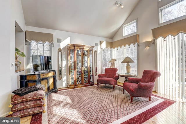 interior space featuring hardwood / wood-style floors and high vaulted ceiling