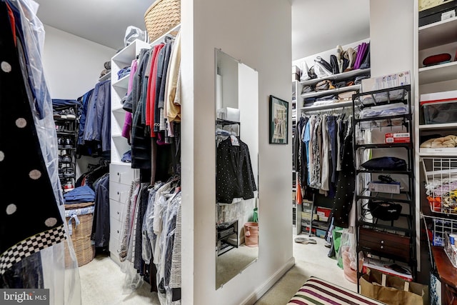 spacious closet with light colored carpet